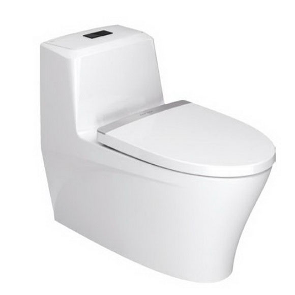 LuXus 4.8L Water-saving One Piece Toliet (Upgrade)