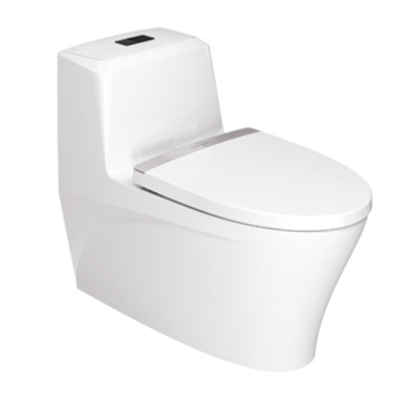 LuXus 4.8L Water-saving One Piece Toilet (Standard)