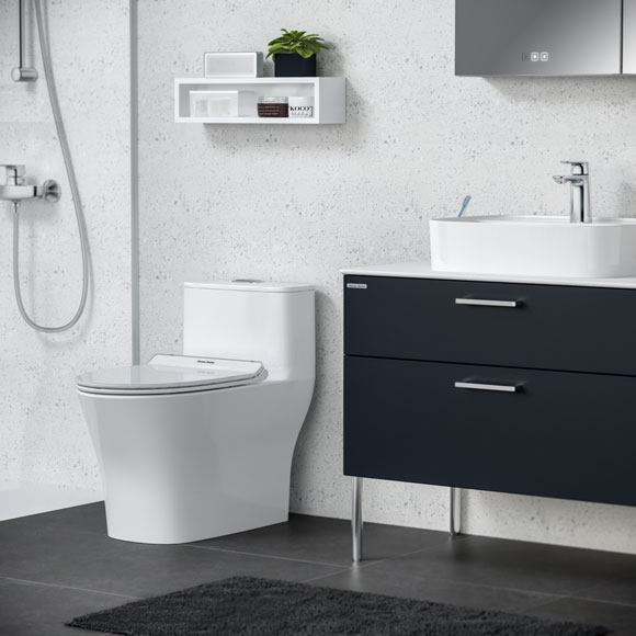 One-Piece Toilet